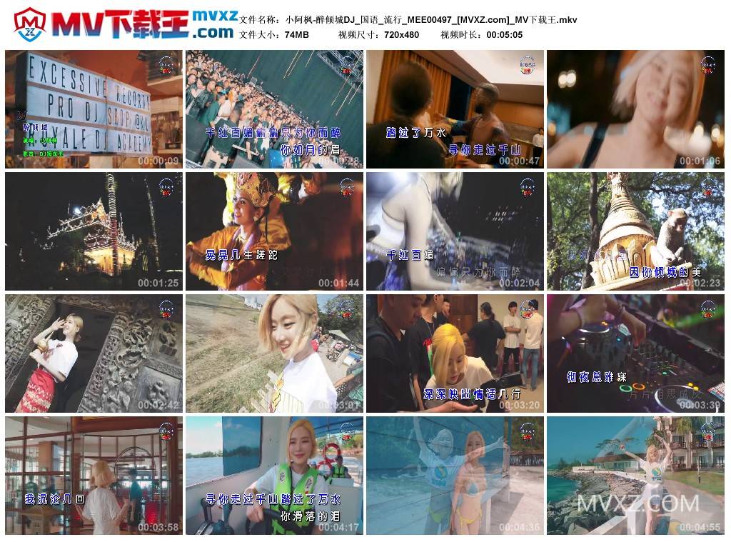 小阿枫-醉倾城DJ_国语_流行_MEE00497